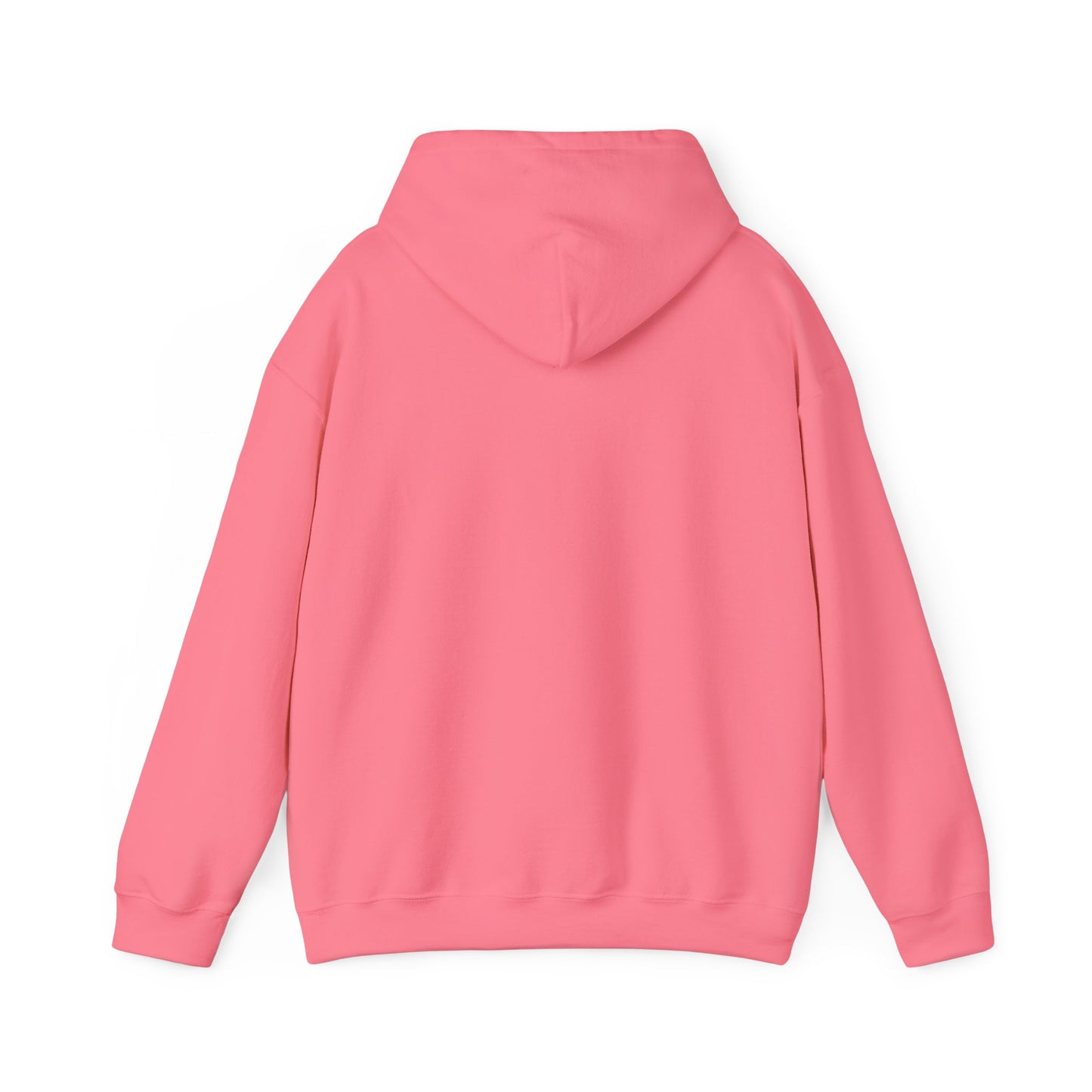 Cute Bear Graphic Unisex Hoodie - The Boring New
