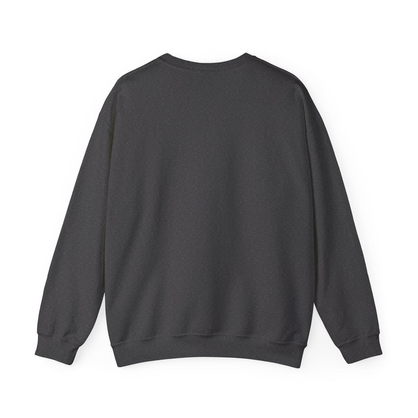 Retro Style Unisex Sweatshirt -The Boring New