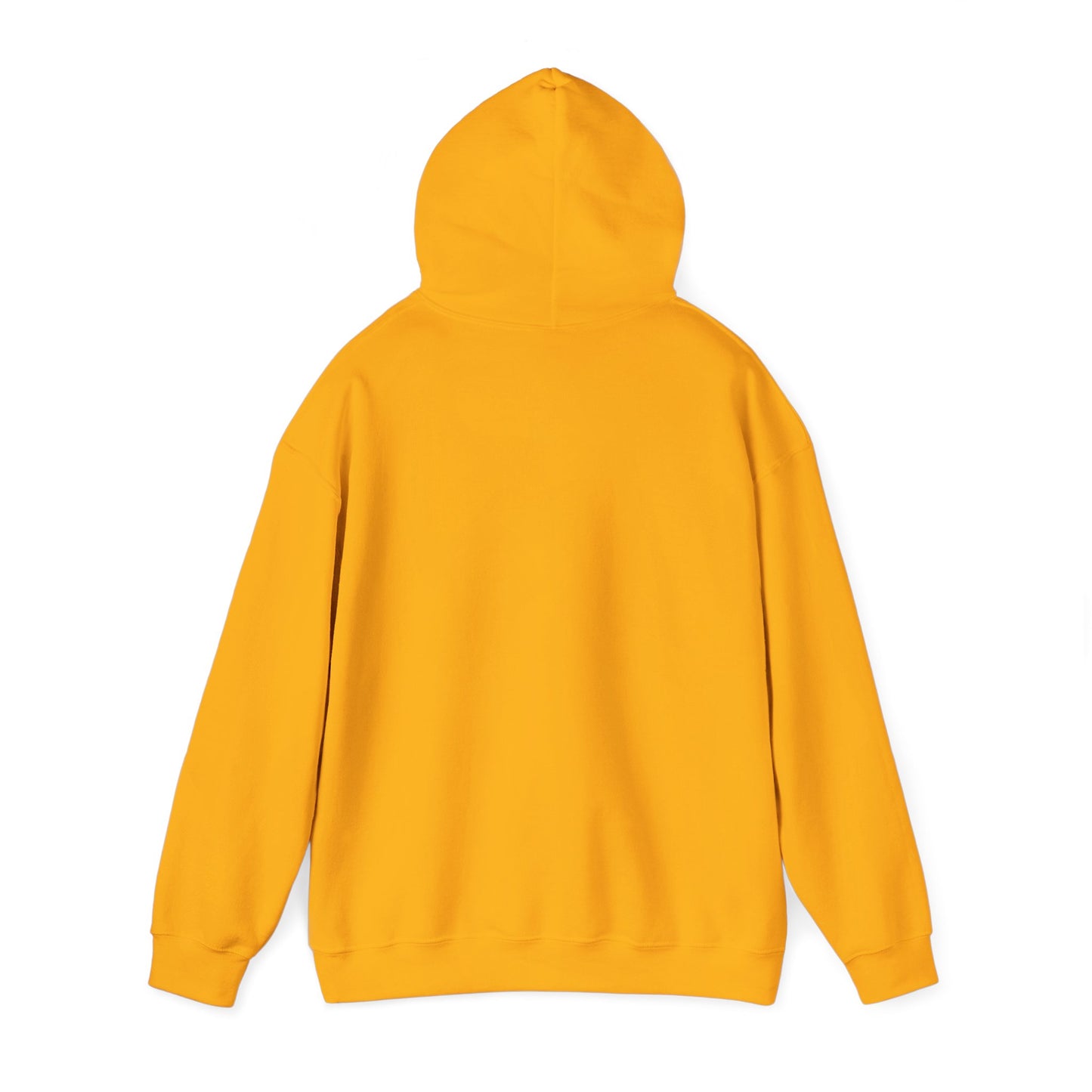 Cute Bear Graphic Unisex Hoodie - The Boring New