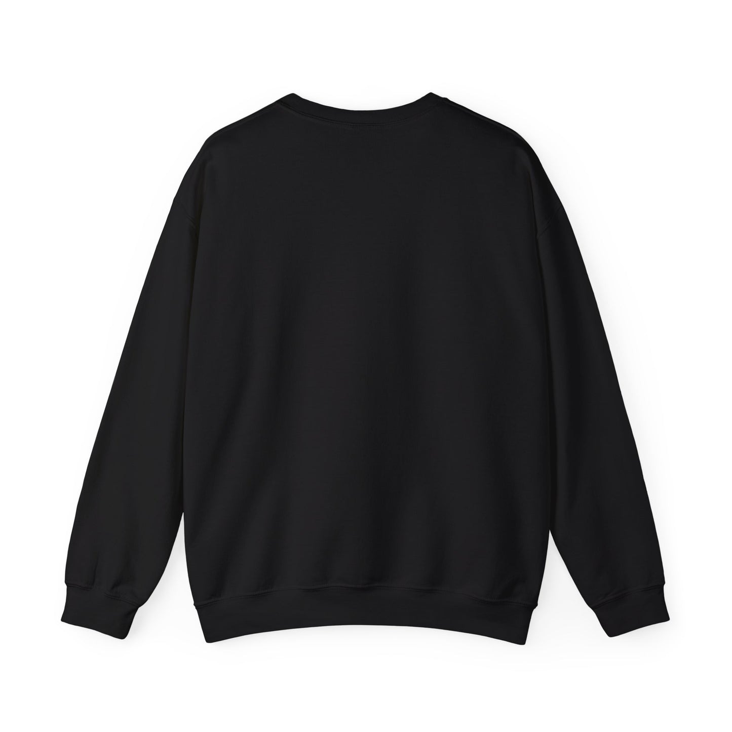 Retro Style Unisex Sweatshirt -The Boring New