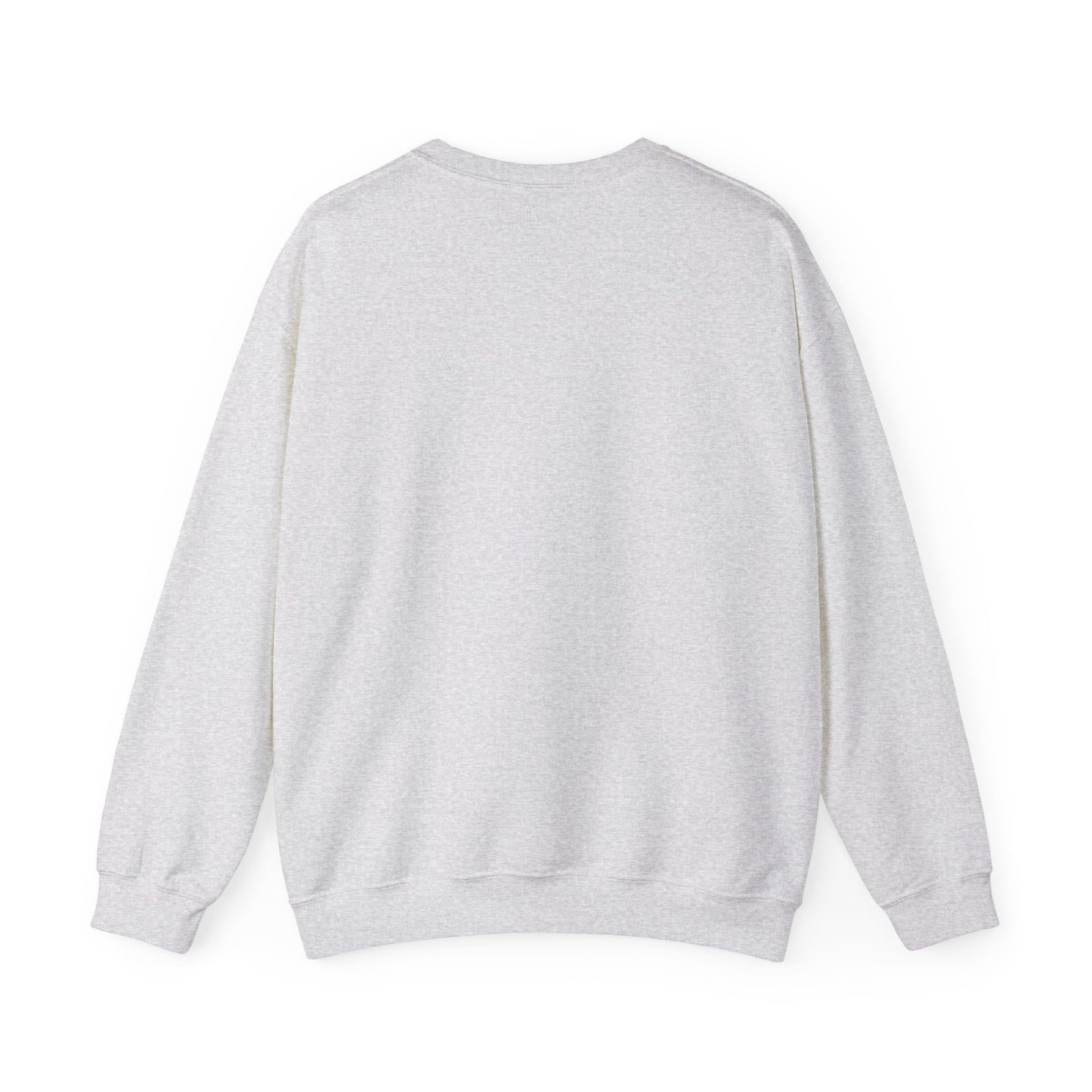 Copy of Cozy Unisex Fashion sweatshirt - The Boring New