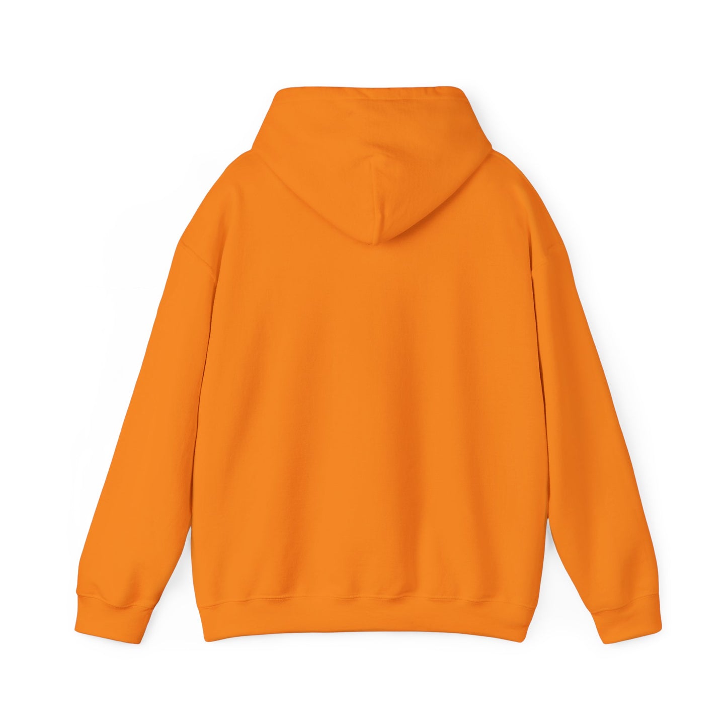 Cute Bear Graphic Unisex Hoodie - The Boring New